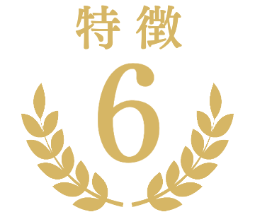 特徴マーク